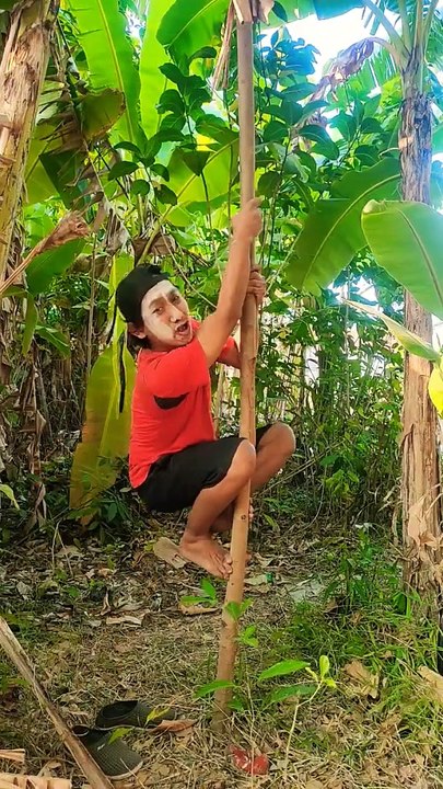 Naik pohon #feedshorts #funny #comedyfilms #shortsfeed #lucu #comedymovies #shortsvideo