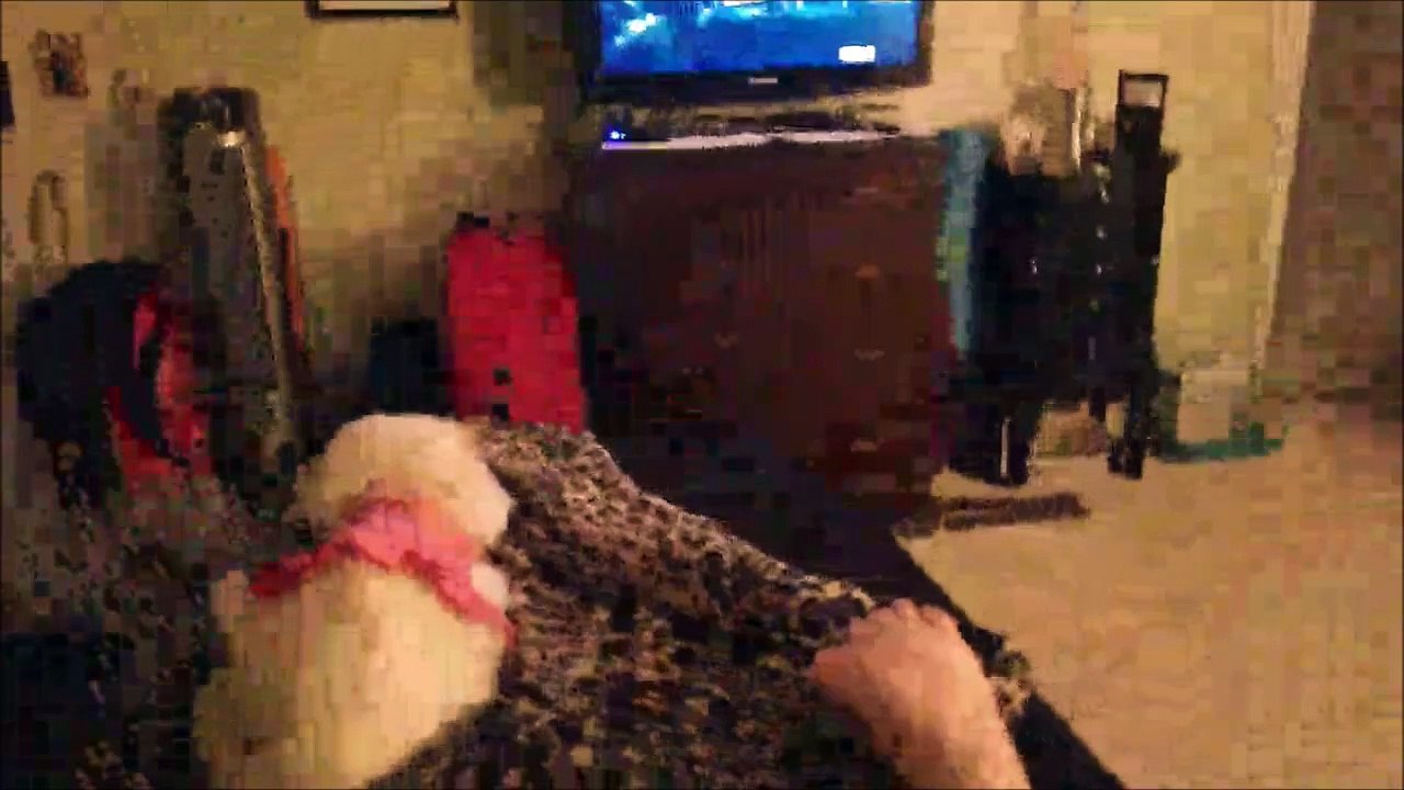 Daffney's Twitch Clips 🎮