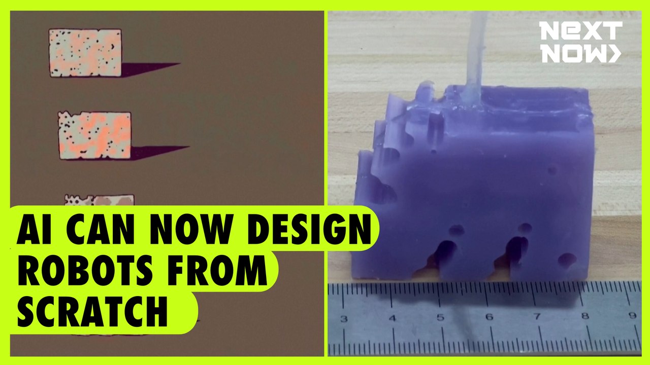 AI can now build robots from scratch | NEXT NOW