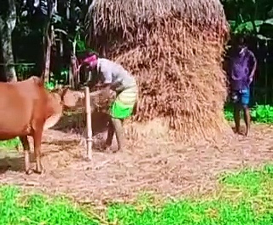 Komedi Lucu dan Mengocok Perut 😂