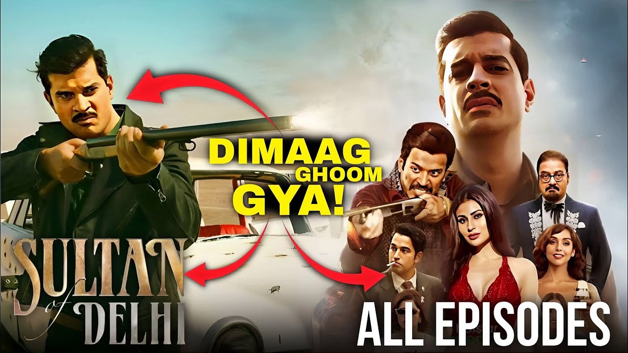 Sultan of Delhi Series ( 2023 ) Explained In Hindi || Sultan of Delhi Ending Explained