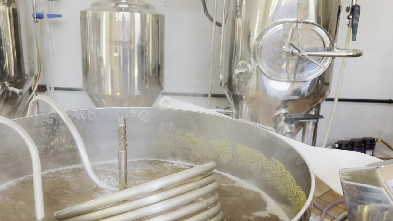 Bier-Herstellung: Diese Zutat findet sich in den meisten Bier-Sorten