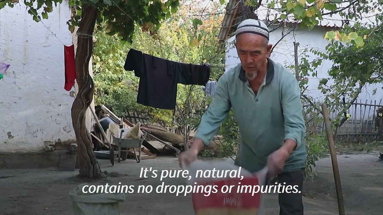 The Impact of Nasvay Chewing Tobacco in Kyrgyzstan