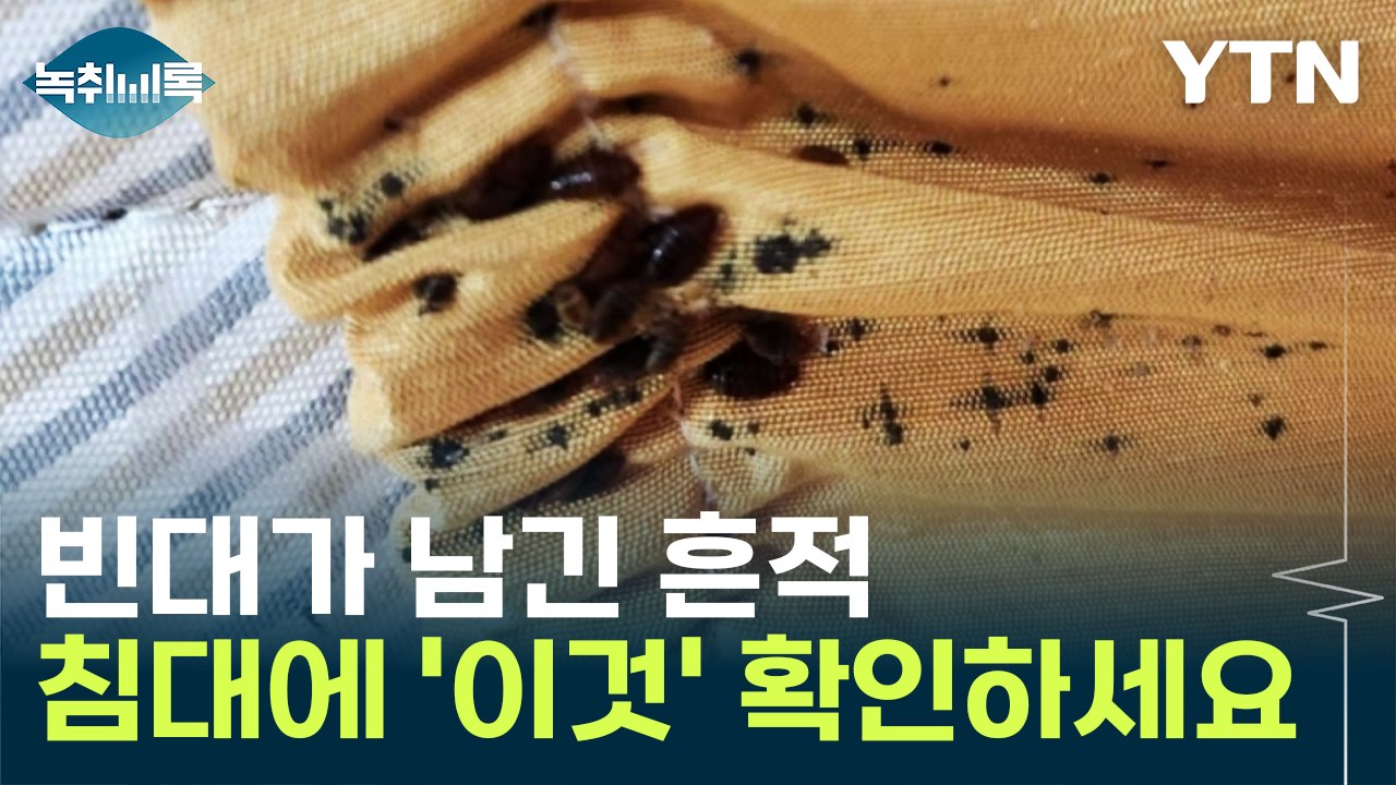 "내방에도 빈대가?"...침대에 '이 흔적' 확인하세요 [Y녹취록] / YTN