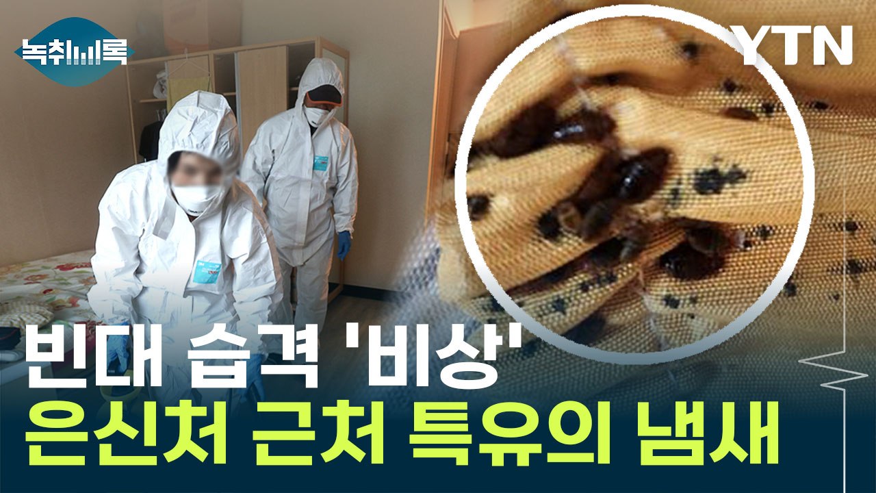 국내 빈대 습격 '비상'... 특유의 냄새도 남긴다? [Y녹취록] / YTN
