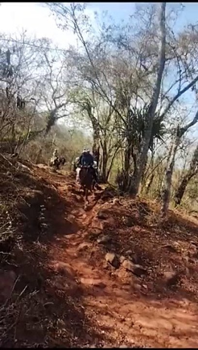 Las Fuerzas Armadas trasladan urnas