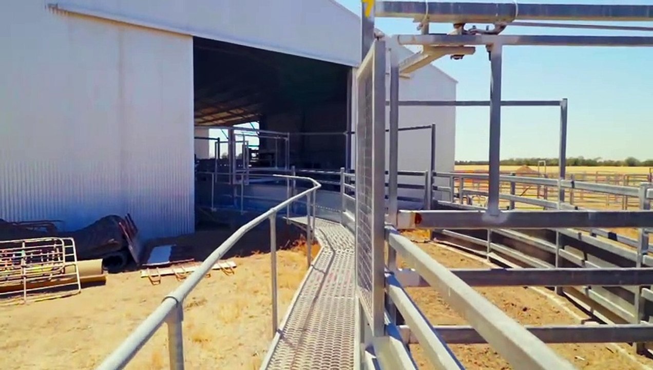 Undabri & Yambocully Aggregation, Goondiwindi, Qld | October 23, 2023 | Farmonline