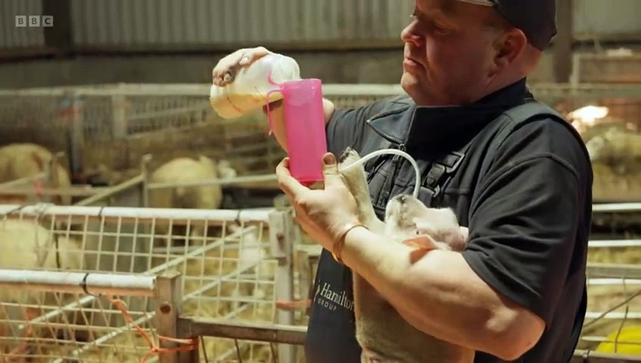 This Farming Life 2023 Episode 9