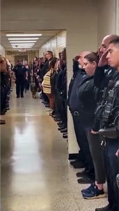 candy pastor alemão