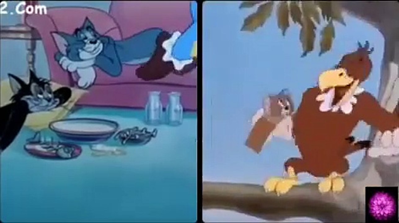 Tom and Jerry[phim hoạt hình vui nhộn Cartoon[ hoat hinh chuot va meo[ p7