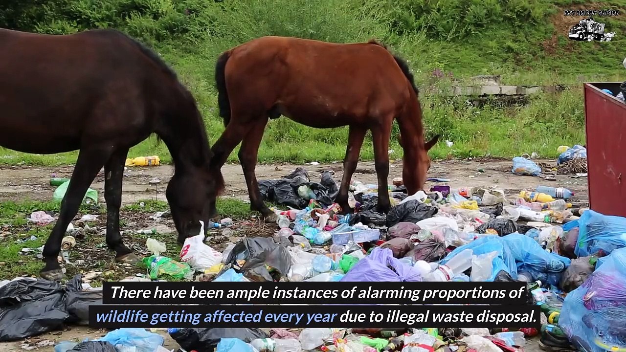 What Are The Impacts of Illegal Dumping of Wastes