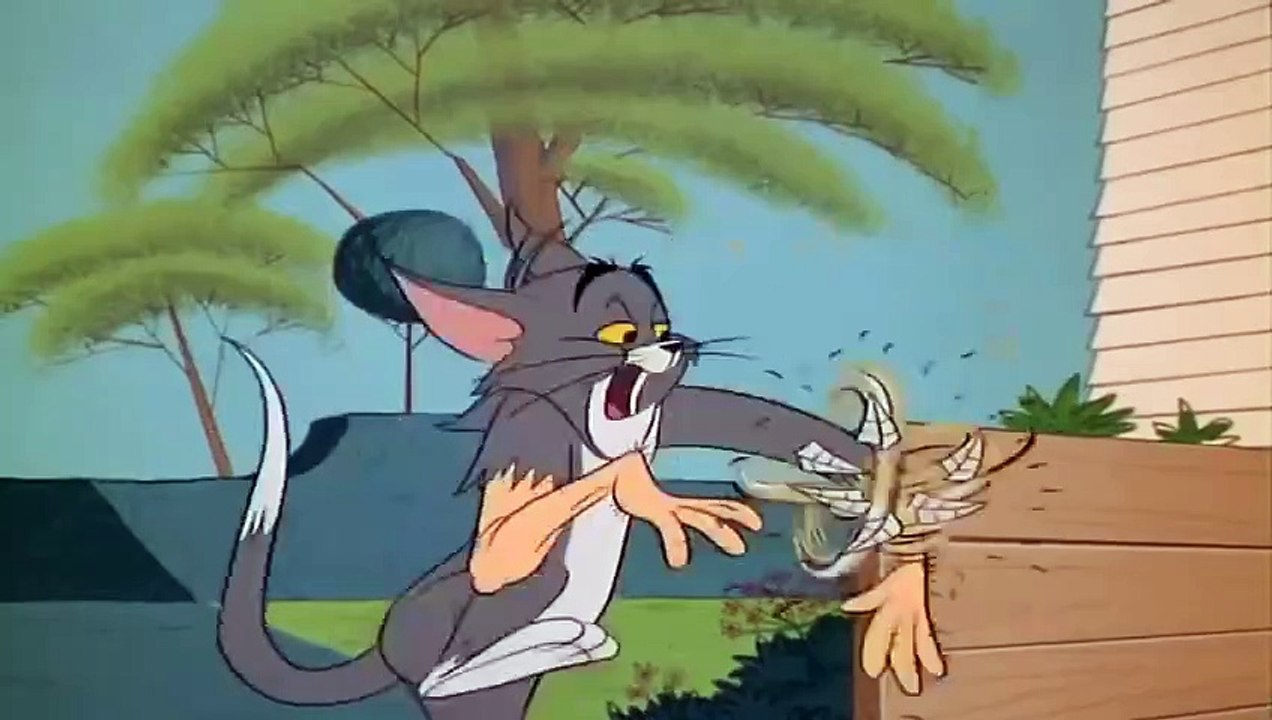 Tom and jerry new episode in 2020