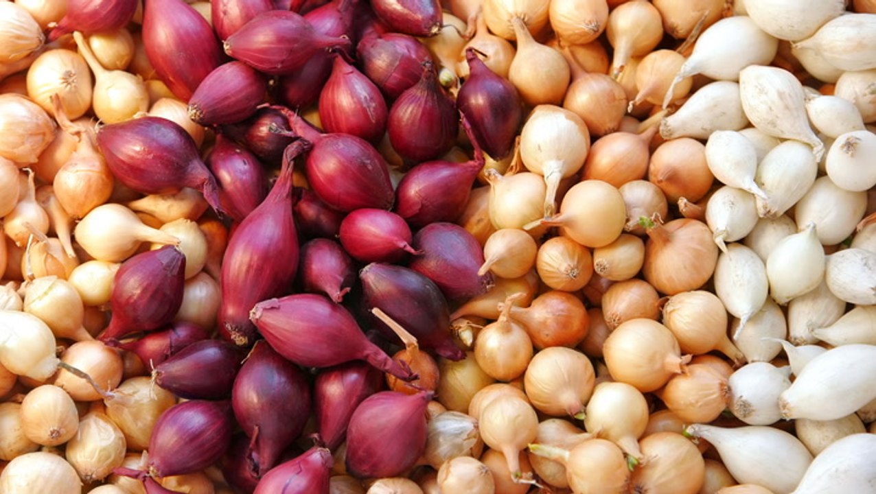 What Is the Difference Between an Onion and a Shallot, And Can You Substitute Them?