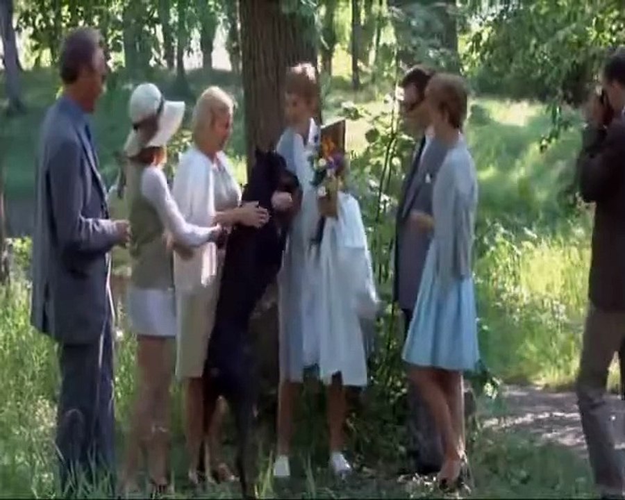 En kärlekshistoria (1970) - Svensk klassiker om tonårskärlek