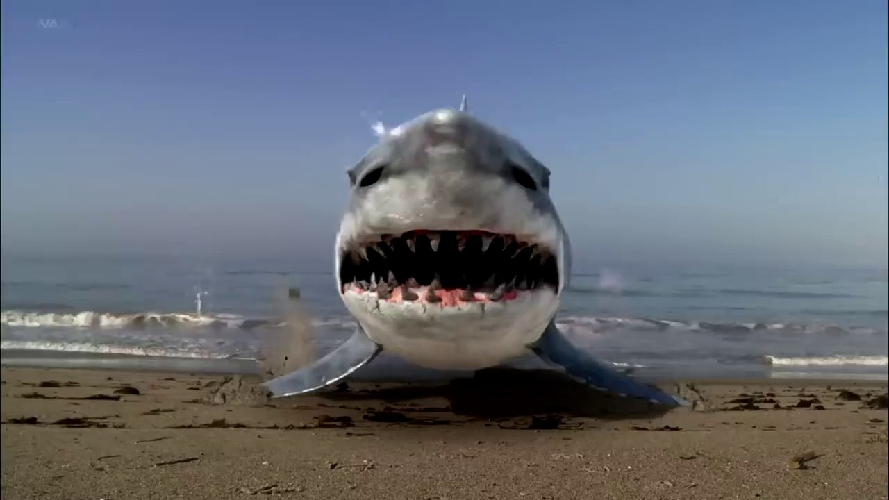 Super Shark 🦈 | Full Hindi Dubbed Action Movie in 4K – Hollywood's Best Monster Thriller