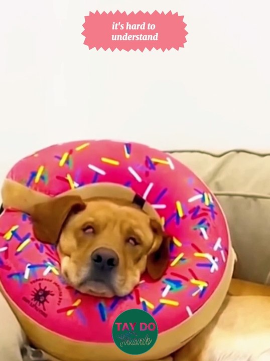 it's hard to understand