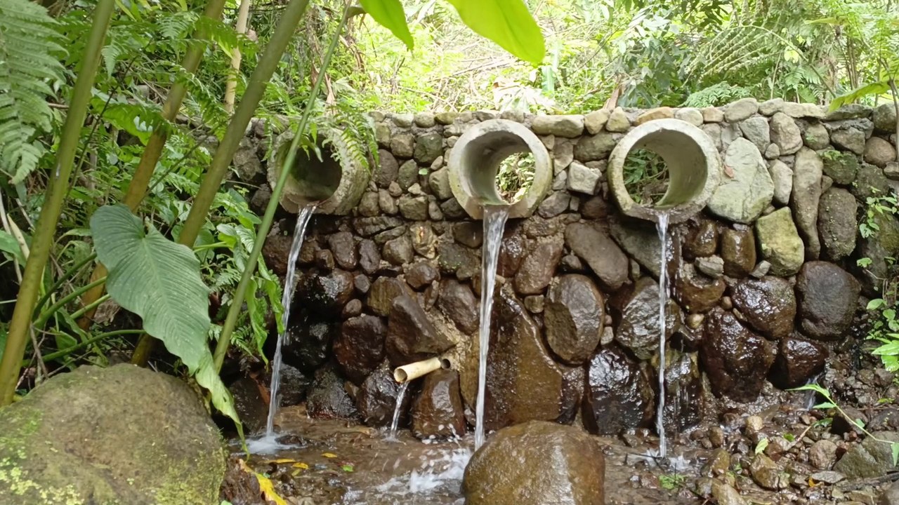 Relaxing sounds nature