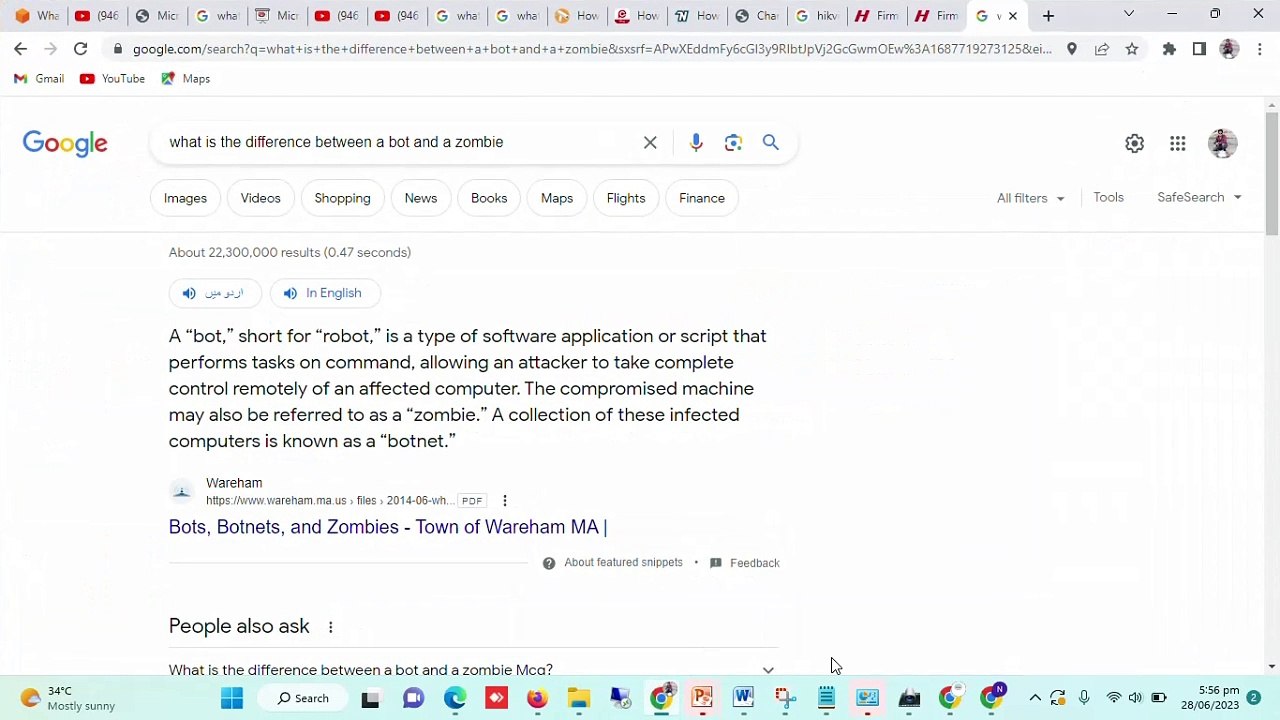 what is bot and zombi