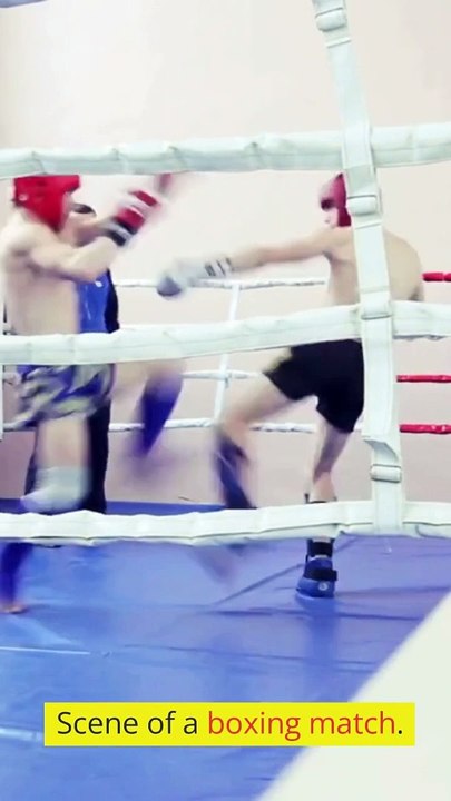 The Boxing Match of Finance An Intro to Short Selling