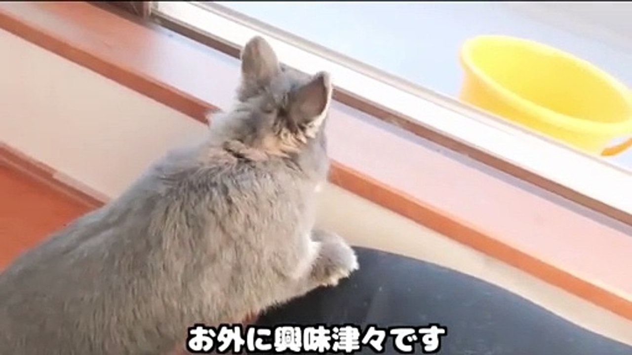 August Skye - Stretching Out August