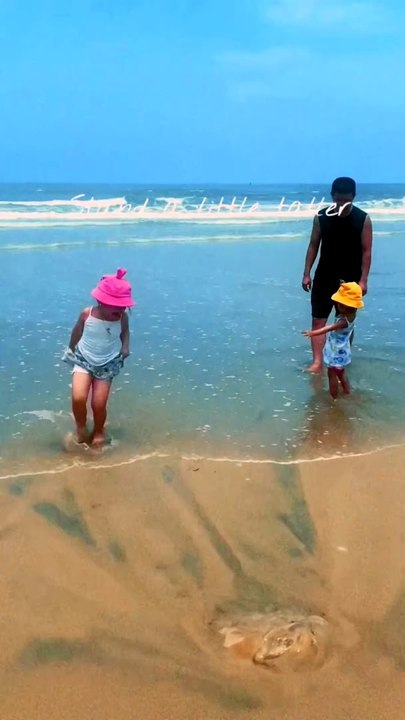 Kids' Journey to Success #shorts ⭐️ Linh Nhi Friends #kidsvideo