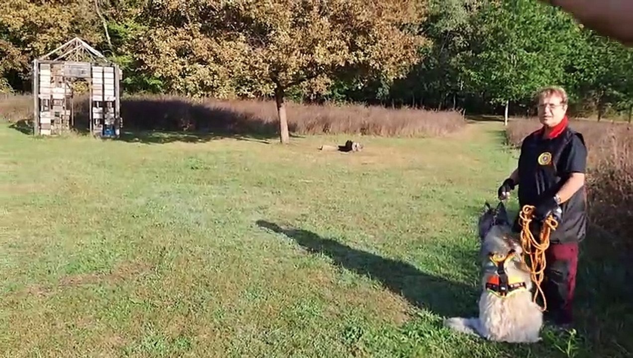 Siha Update: September 23, 2023 📅