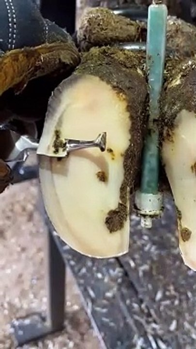 There’s bubbles in there