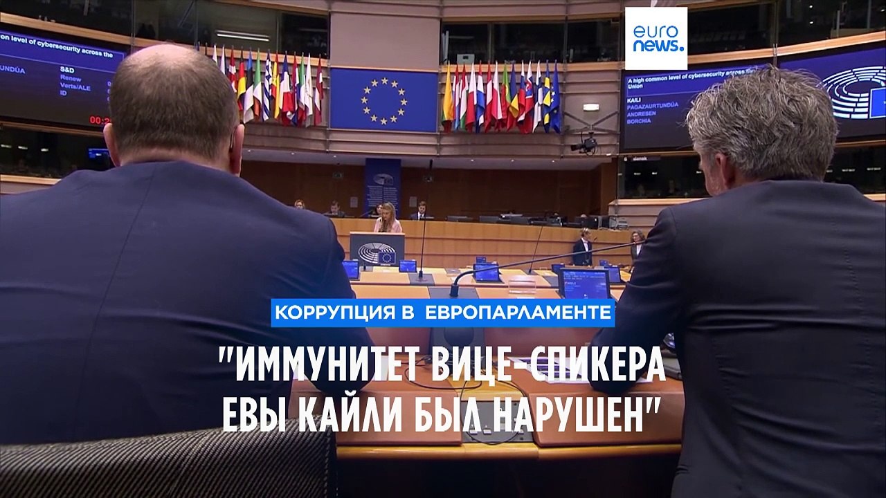 Адвокаты Евы Кайли: "Иммунитет вице-спикера Европарламента был нарушен"