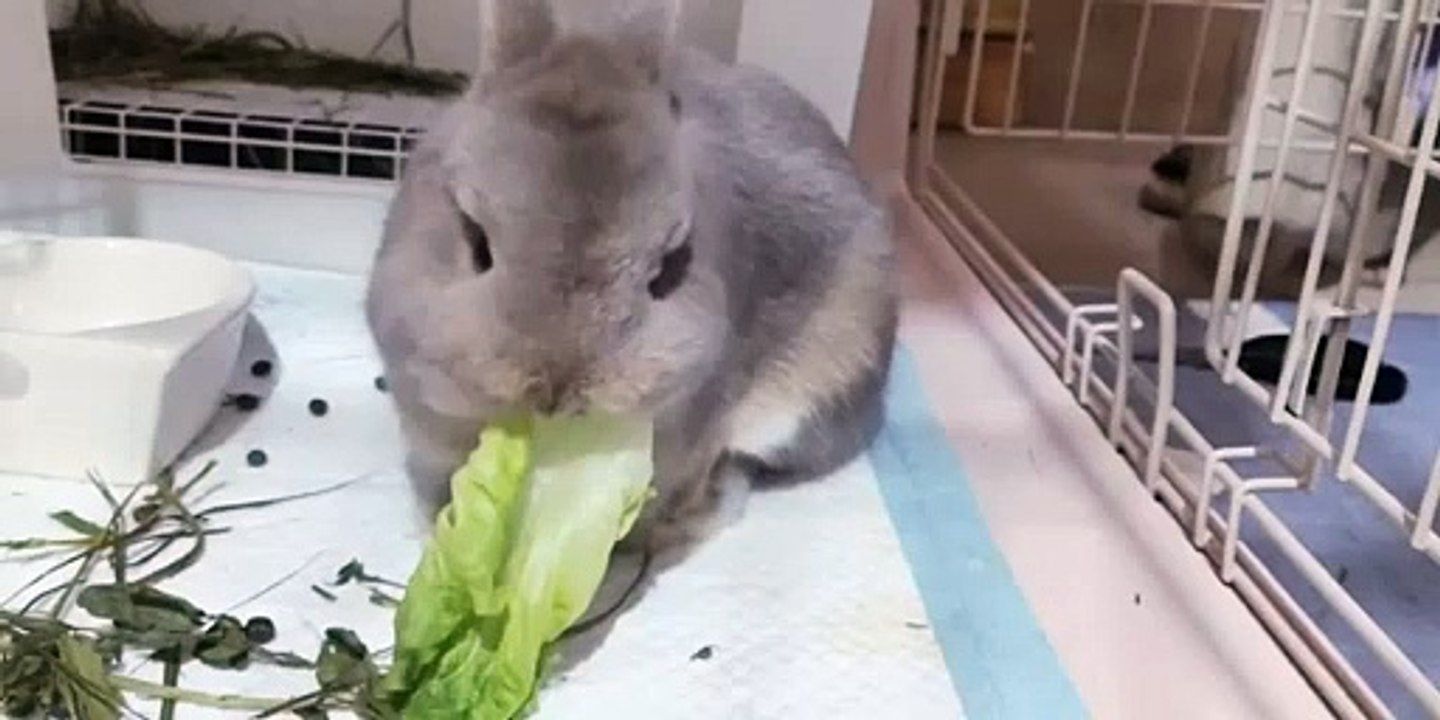 Boost Your Confidence with Angela White & Kayley Gunner's 4x Tits Tips! 💖