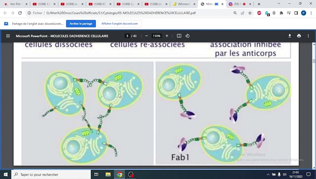LES MOLECULES D'ADHERENCE
