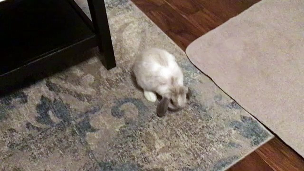 Jia Lissa - Entanglements Part 2