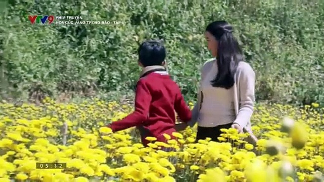 Hoa cúc vàng trong bảo Tập 4