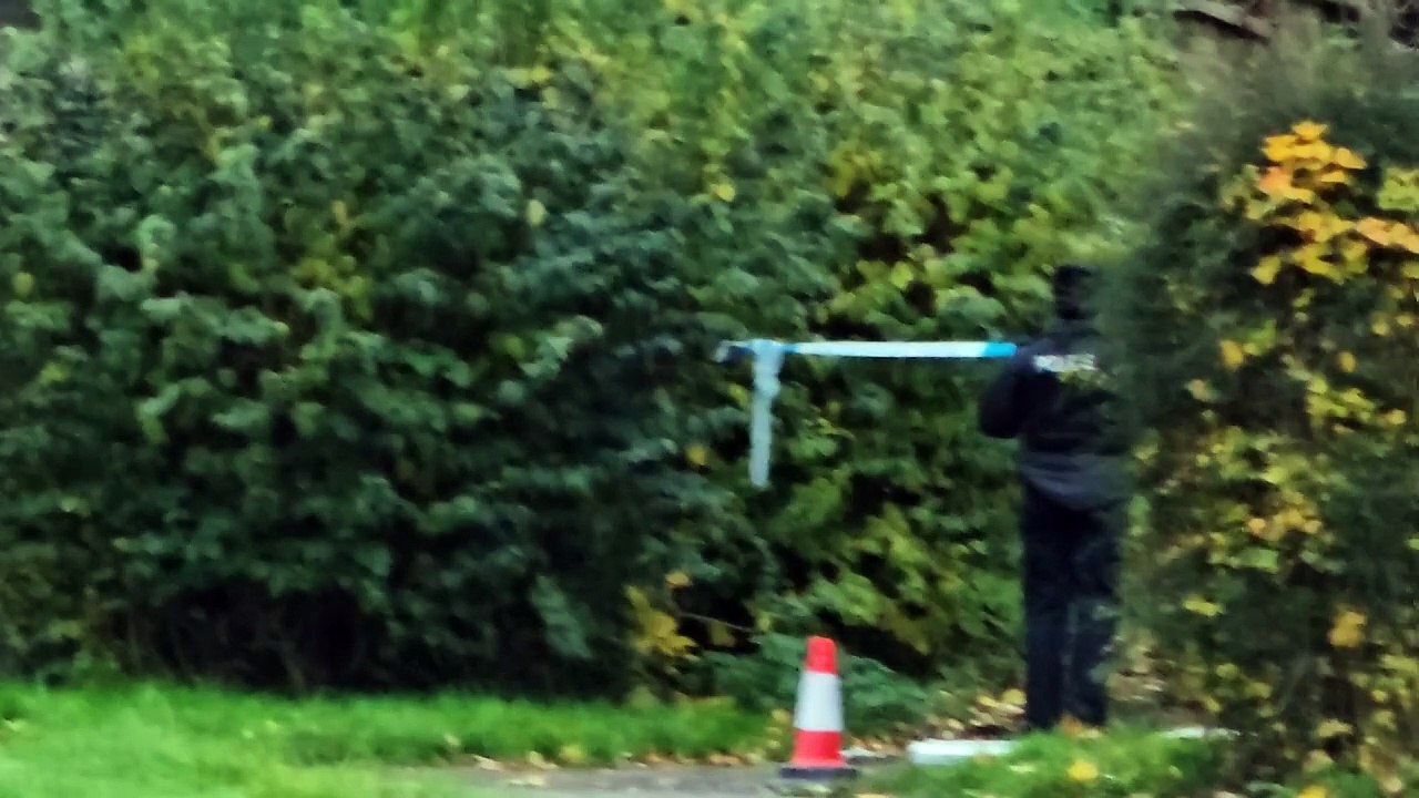 Kingswood murder: Investigation launched after woman killed in front of a ‘number of children’