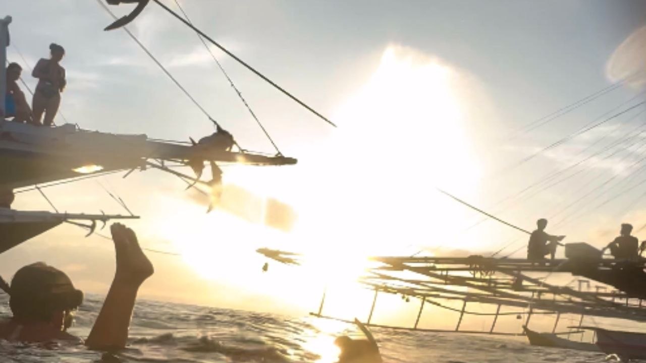 Adventurous diver splashes out of her comfort zone by swimming with whale sharks