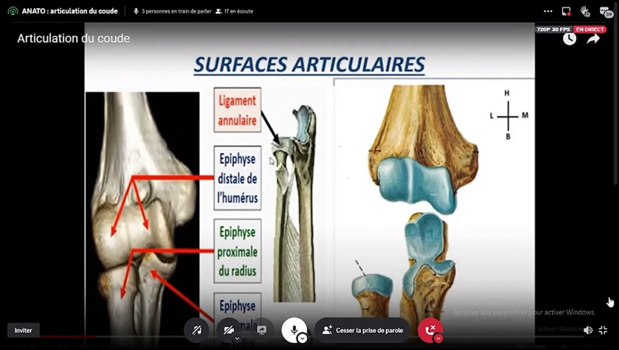 ARTICULATION DU COUDE