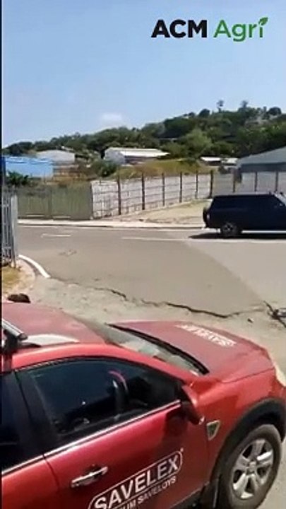 World-first import of Australian sheep to Papua New Guinea | November 28, 2023 | Queensland Country Life