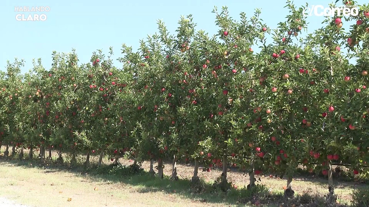 HablandoClaro Manuel Pimentel