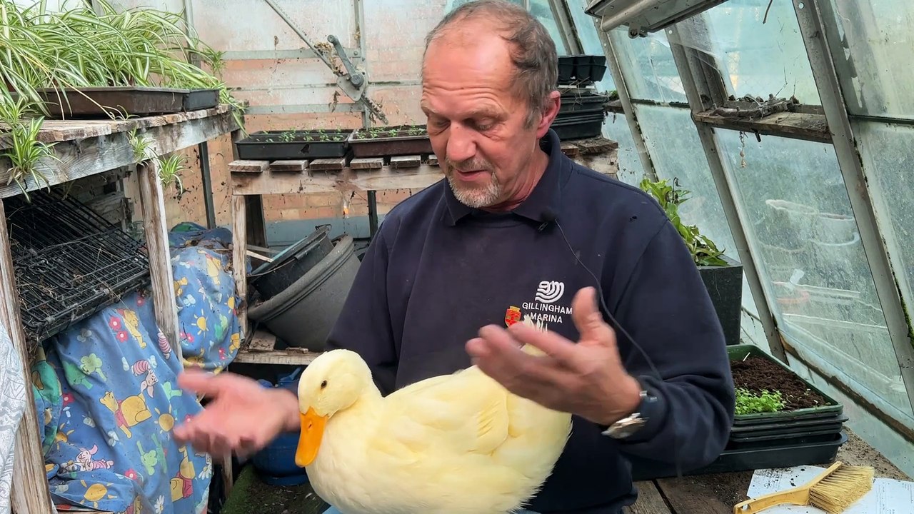 The duck that thinks it's a dog