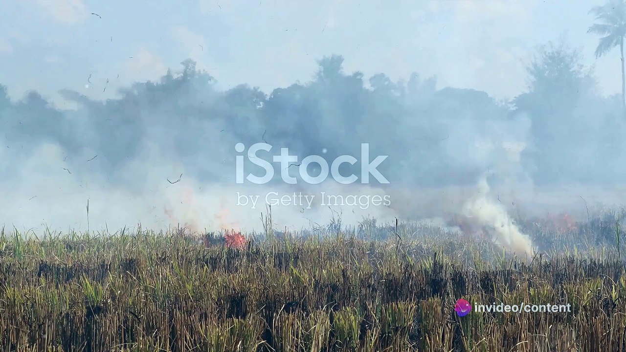 Understanding Lahore's Smog Crisis