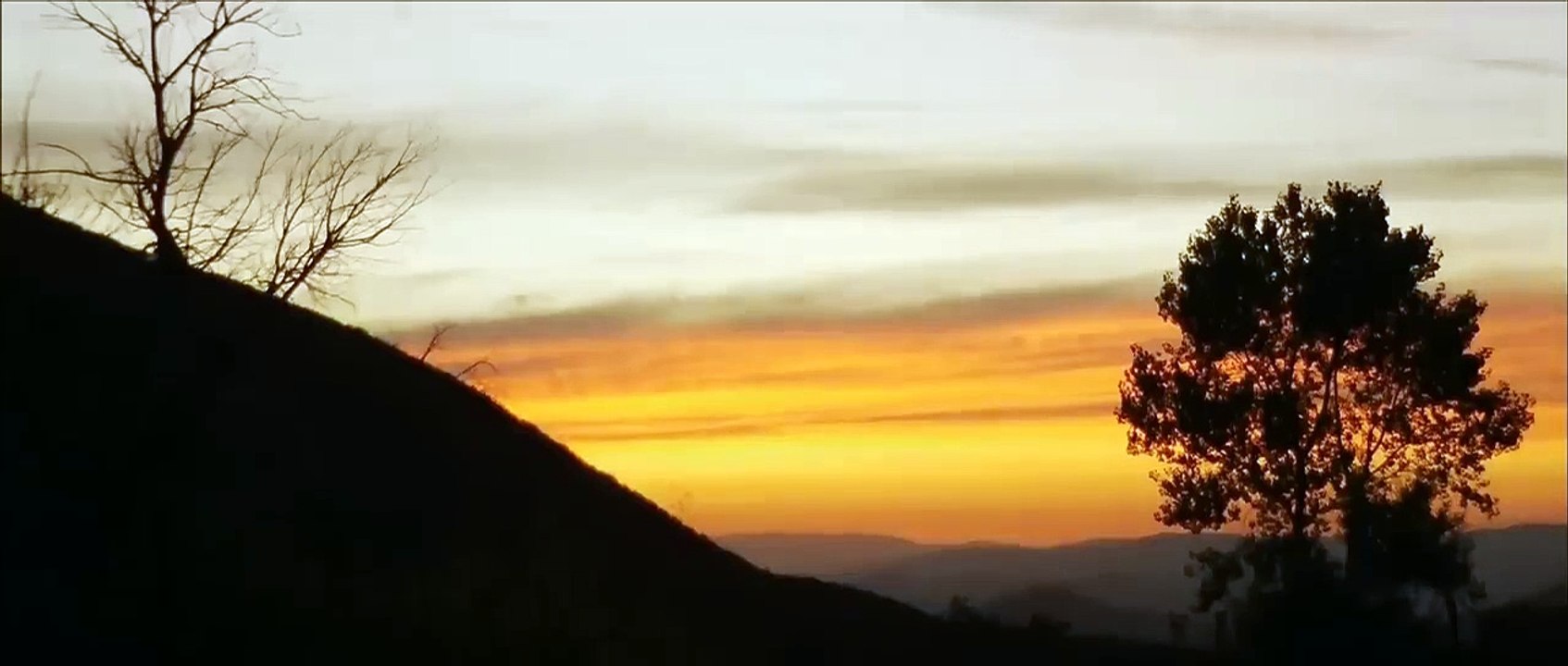 BEAR - Hollywood English Movie