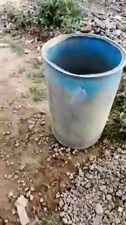 Extraction of gold and precious metals