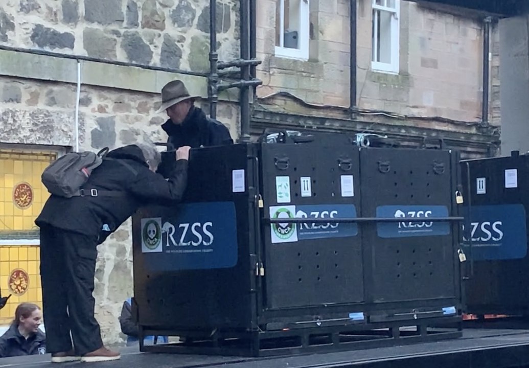 The pandas have left the building