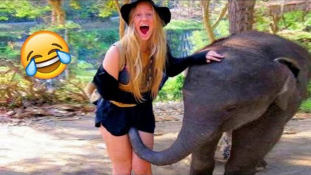 Funny & Hilarious People's Life #3