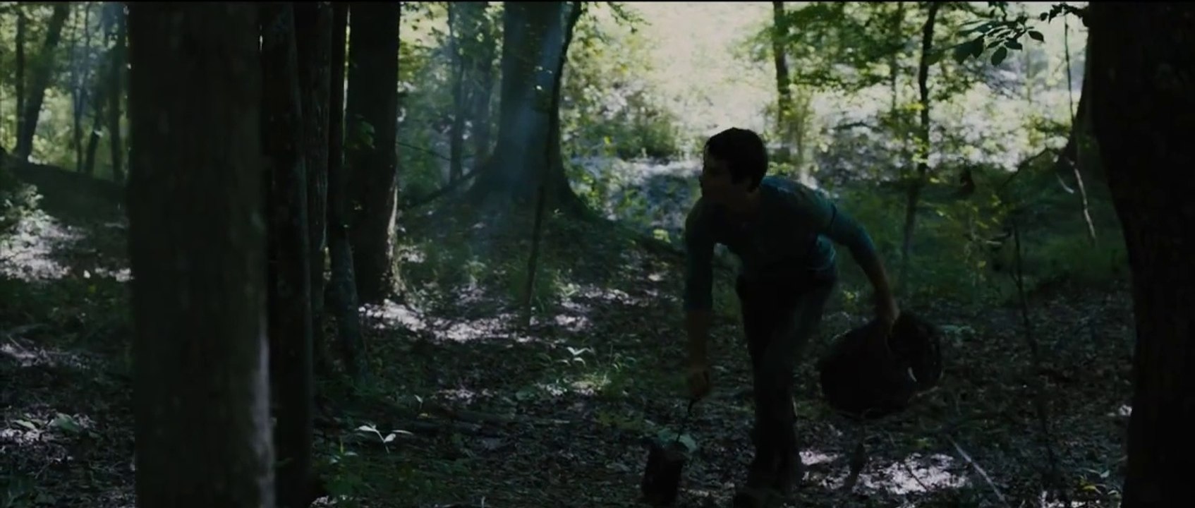 They lived in a labyrinth for many years, but after that time they managed to escape