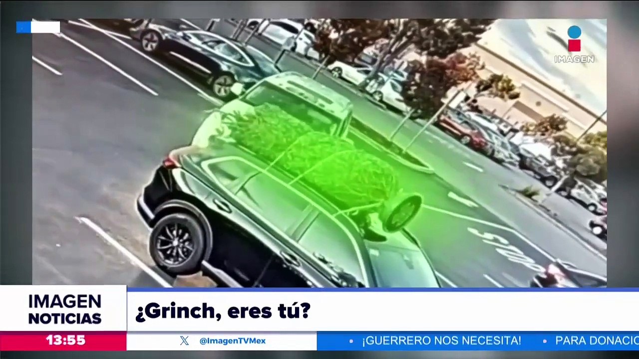 ¡Sujeto roba un arbolito de navidad!