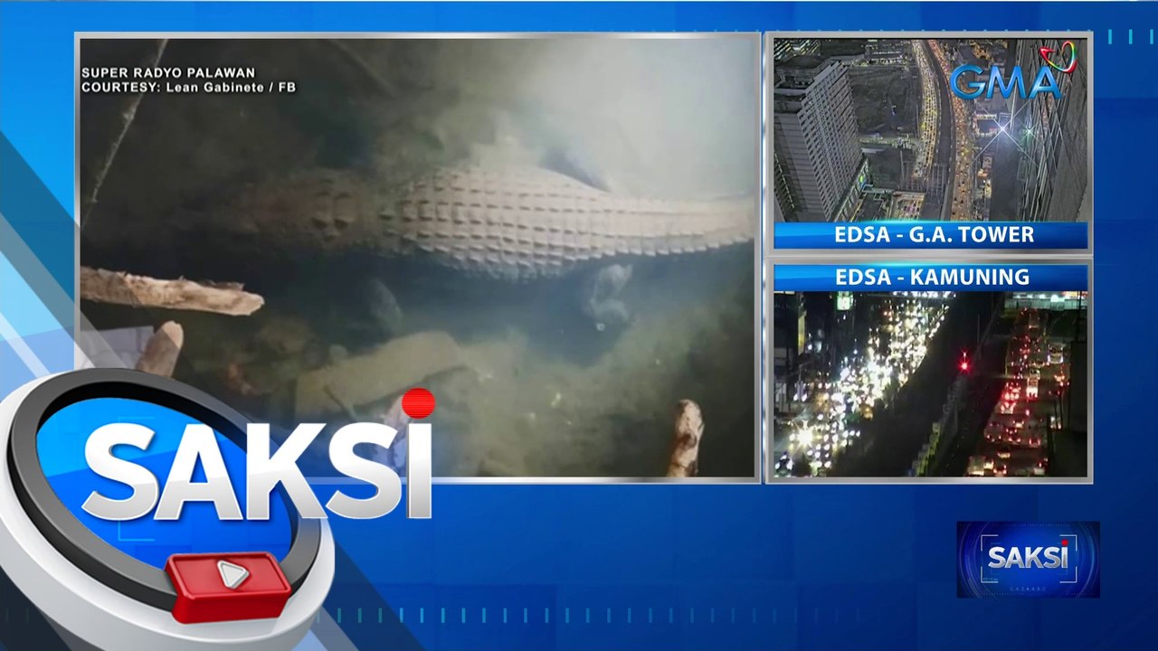 Buwaya, natagpuan sa hilera ng mga bahay sa Bataraza, Palawan | Saksi