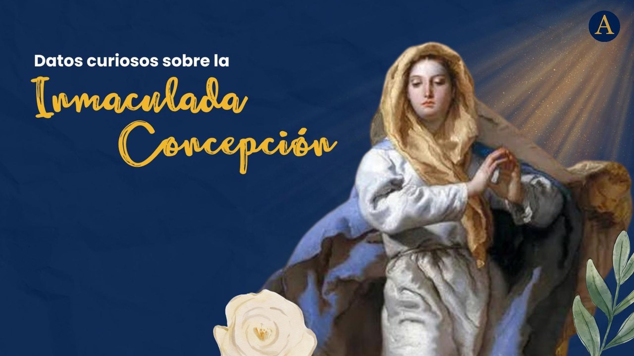 Datos curiosos de la Inmaculada Concepción