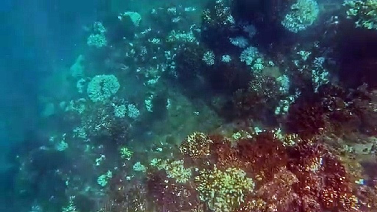 Movimiento en agua - GoPro Hero 12 Black