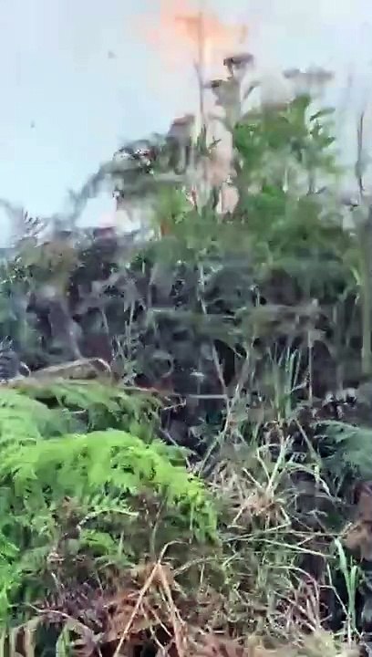 INCENDIO SANTA ELENA 1