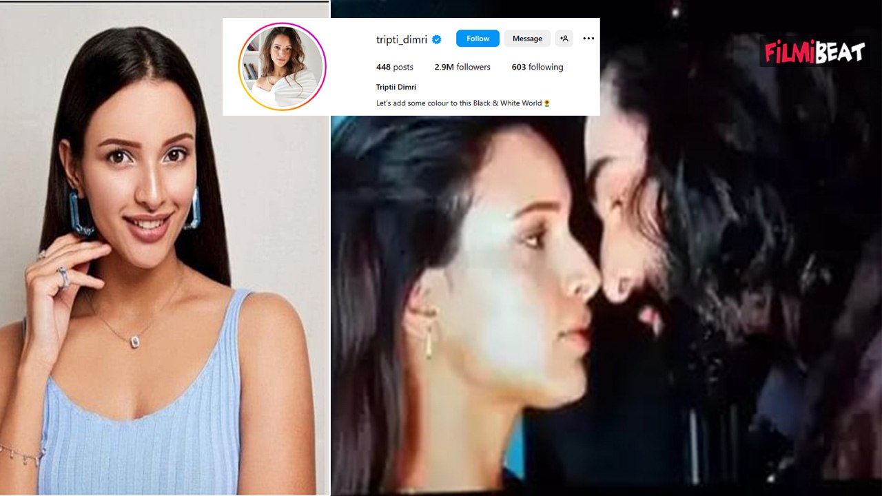 Animal के Intimate Scene के बाद Tripti Dimri की बदली किस्मत, रातों रात बढें इतने Million Followers!